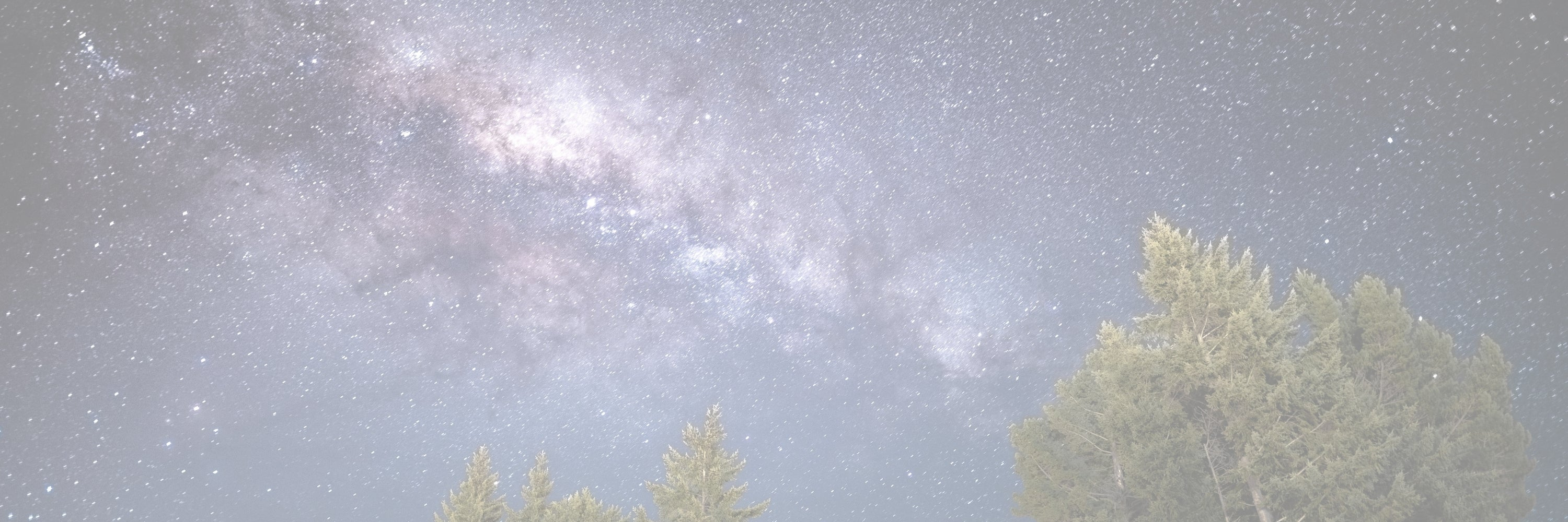 LucyKing New Zealand Nights Collection — luxury perfume and home fragrance with cognac, clove, amber + ash, inspired by New Zealand’s night skies, hand-poured in New Zealand.