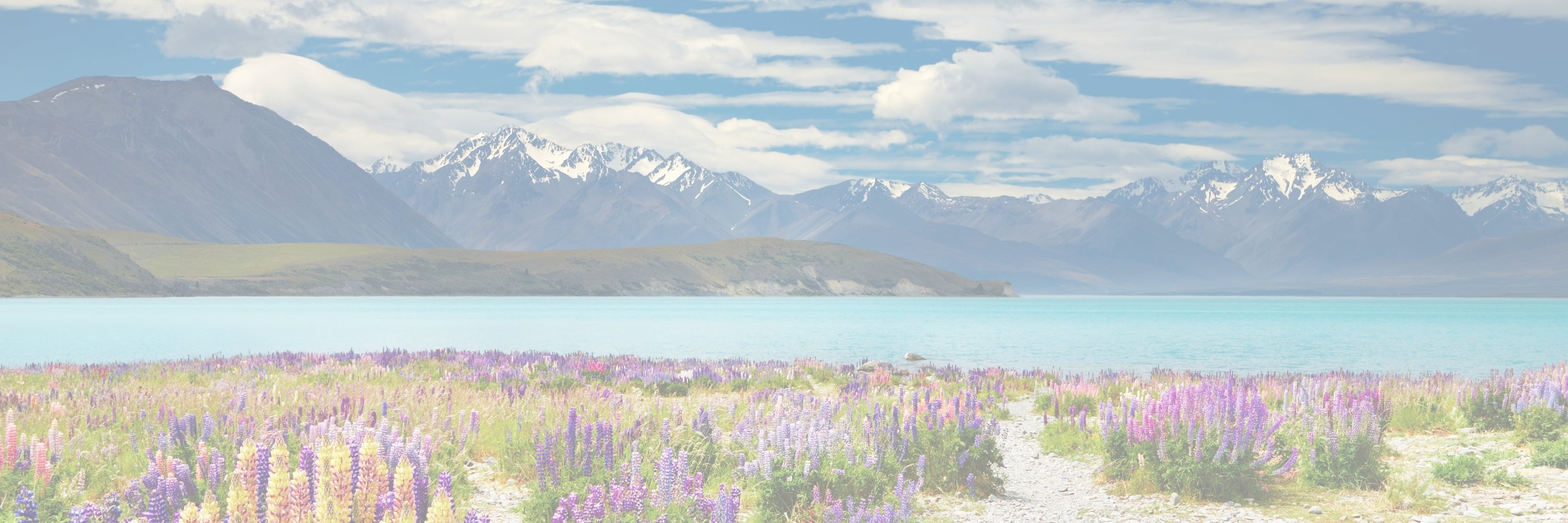 LucyKing Tekapo Collection - luxury home fragrance with lavender, pine and spring flowers, inspired by Lake Tekapo’s alpine air, hand-poured in New Zealand.