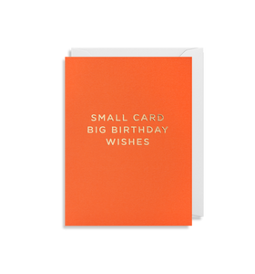 Small Card Big Birthday Wishes Greeting Card