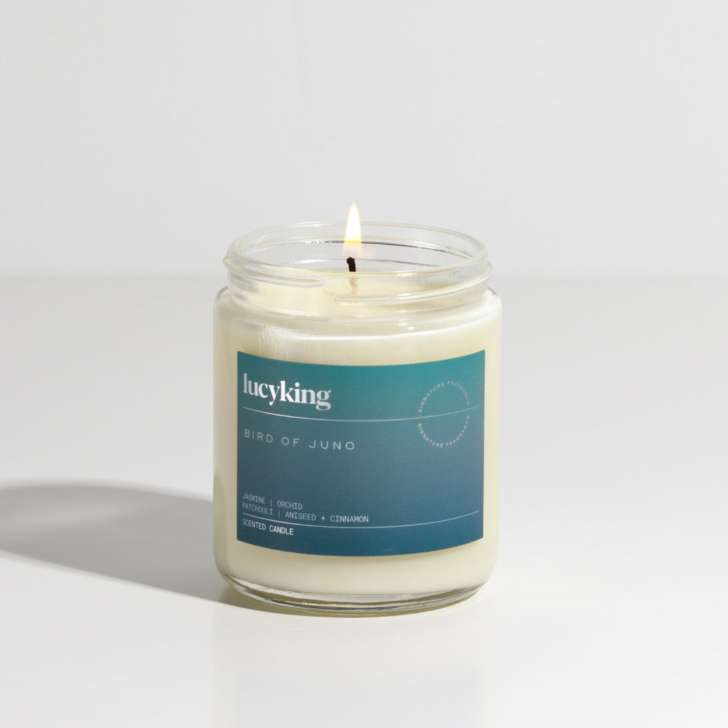 Medium signature fragrance Bird Of Juno soy wax scented candle with a burning wick in a clear glass jar with teal label